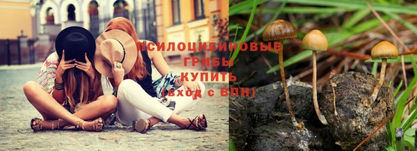 твердый Липки