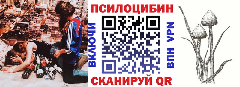 Псилоцибиновые грибы мицелий  Купить закладки  Хадыженск 